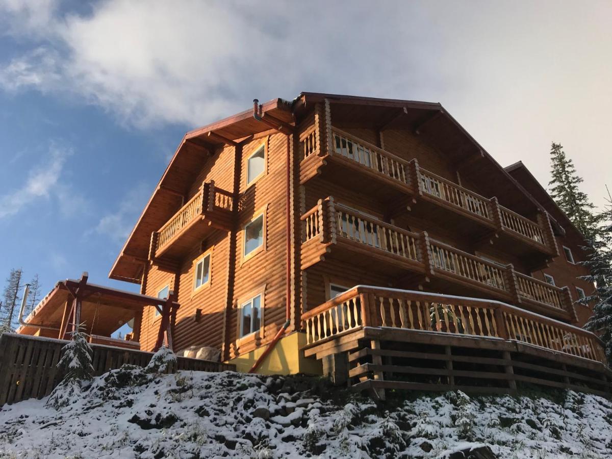 Alpin Eco Chalet & Wellness ドラゴブラト エクステリア 写真