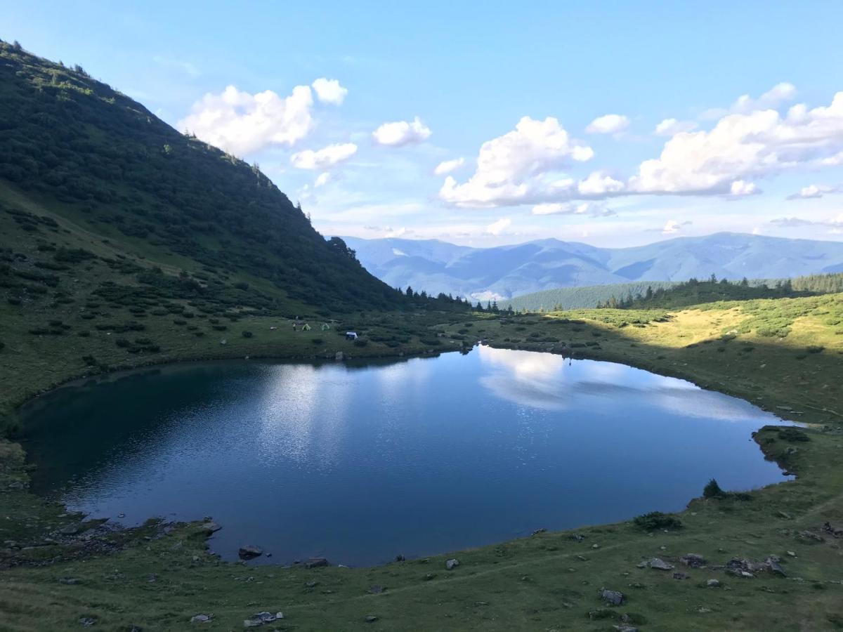 Alpin Eco Chalet & Wellness ドラゴブラト エクステリア 写真