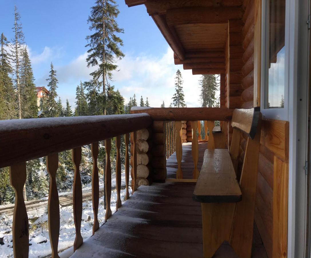 Alpin Eco Chalet & Wellness ドラゴブラト エクステリア 写真