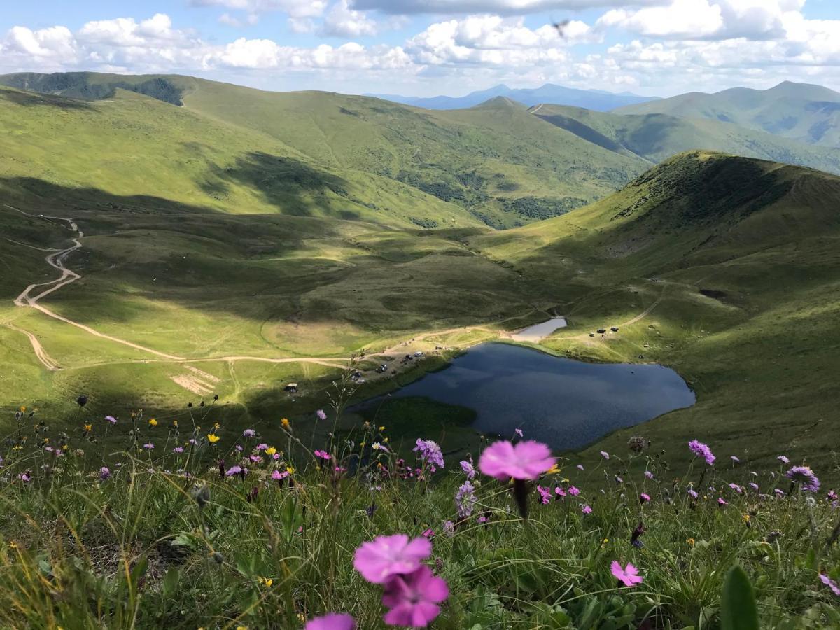 Alpin Eco Chalet & Wellness ドラゴブラト エクステリア 写真