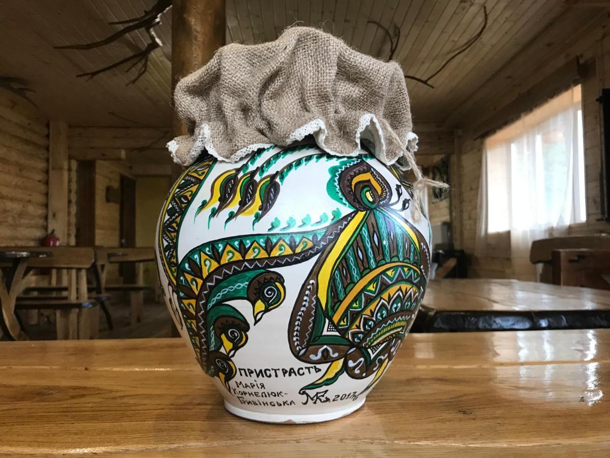 Alpin Eco Chalet & Wellness ドラゴブラト エクステリア 写真