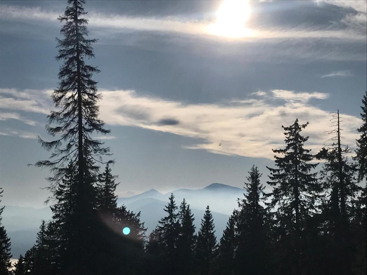 Alpin Eco Chalet & Wellness ドラゴブラト エクステリア 写真