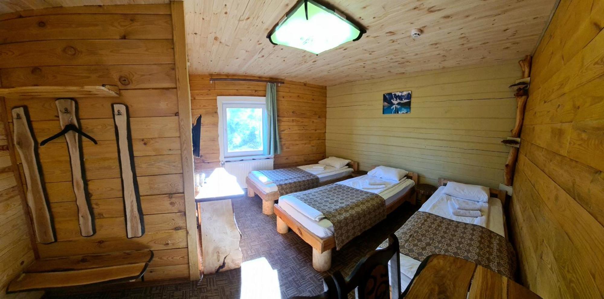 Alpin Eco Chalet & Wellness ドラゴブラト エクステリア 写真