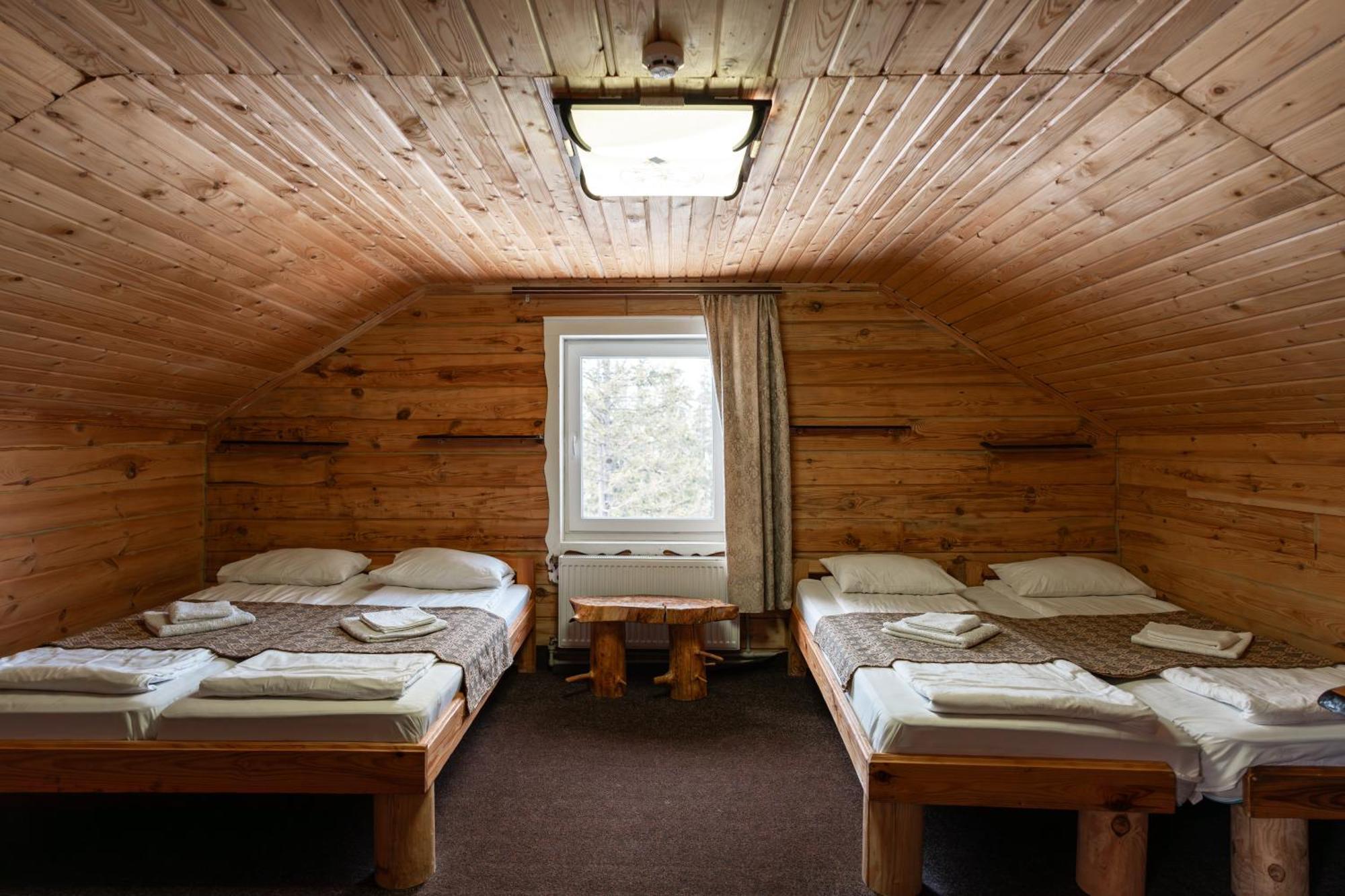 Alpin Eco Chalet & Wellness ドラゴブラト エクステリア 写真